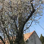 Mandula House * Paloznak