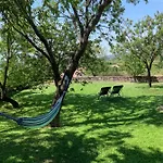 Mandula House Holiday home