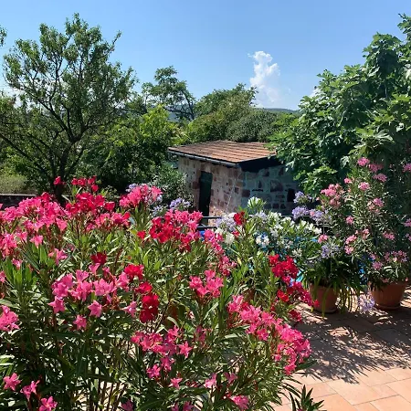 Mandula House * Paloznak