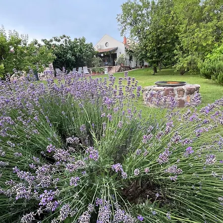 Mandula House Paloznak