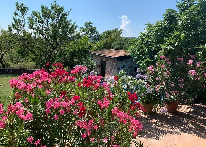 Mandula House * パロズナク