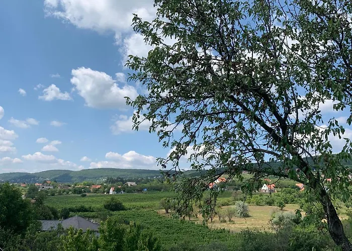 Mandula House * Paloznak