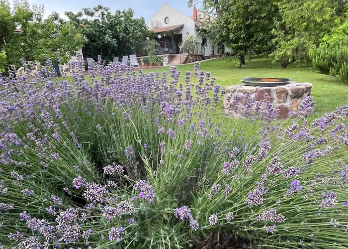 Mandula House Paloznak