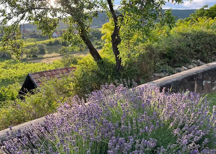 Mandula House 別荘