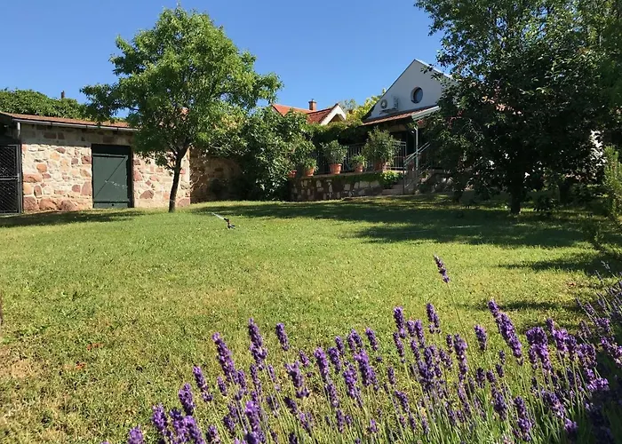 Vakantiehuis Mandula House